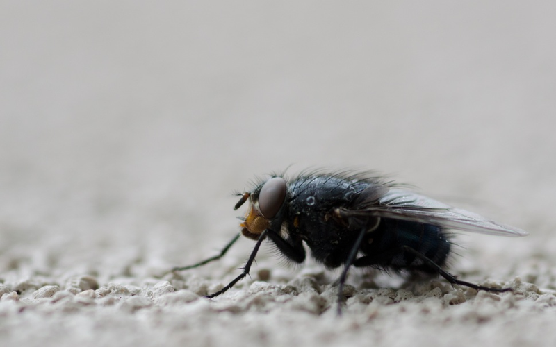 Illustration for article titled 153 Photos of Teeny Tiny Things